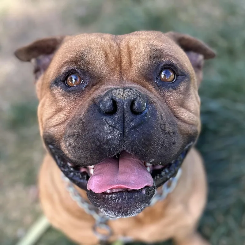 Gus  Ecas thumbnail 6