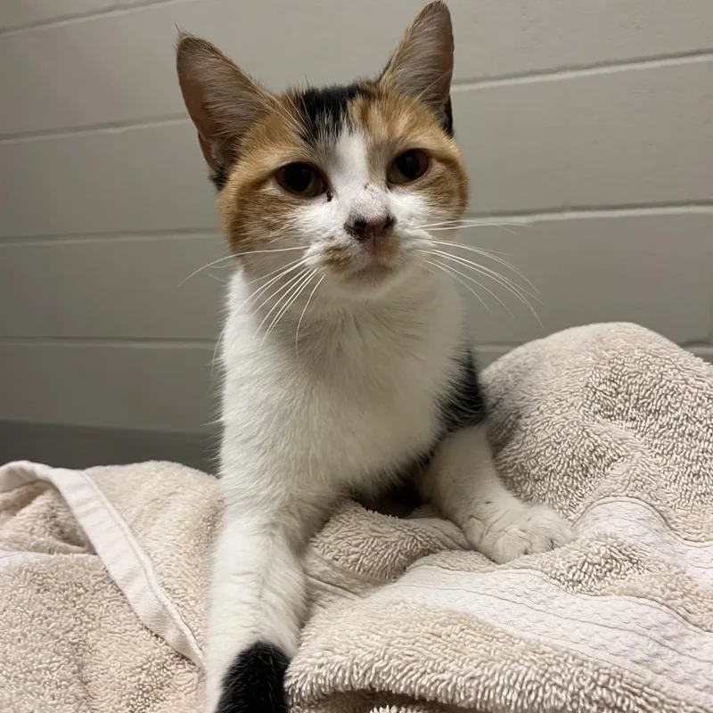 Marleigh thumbnail 2