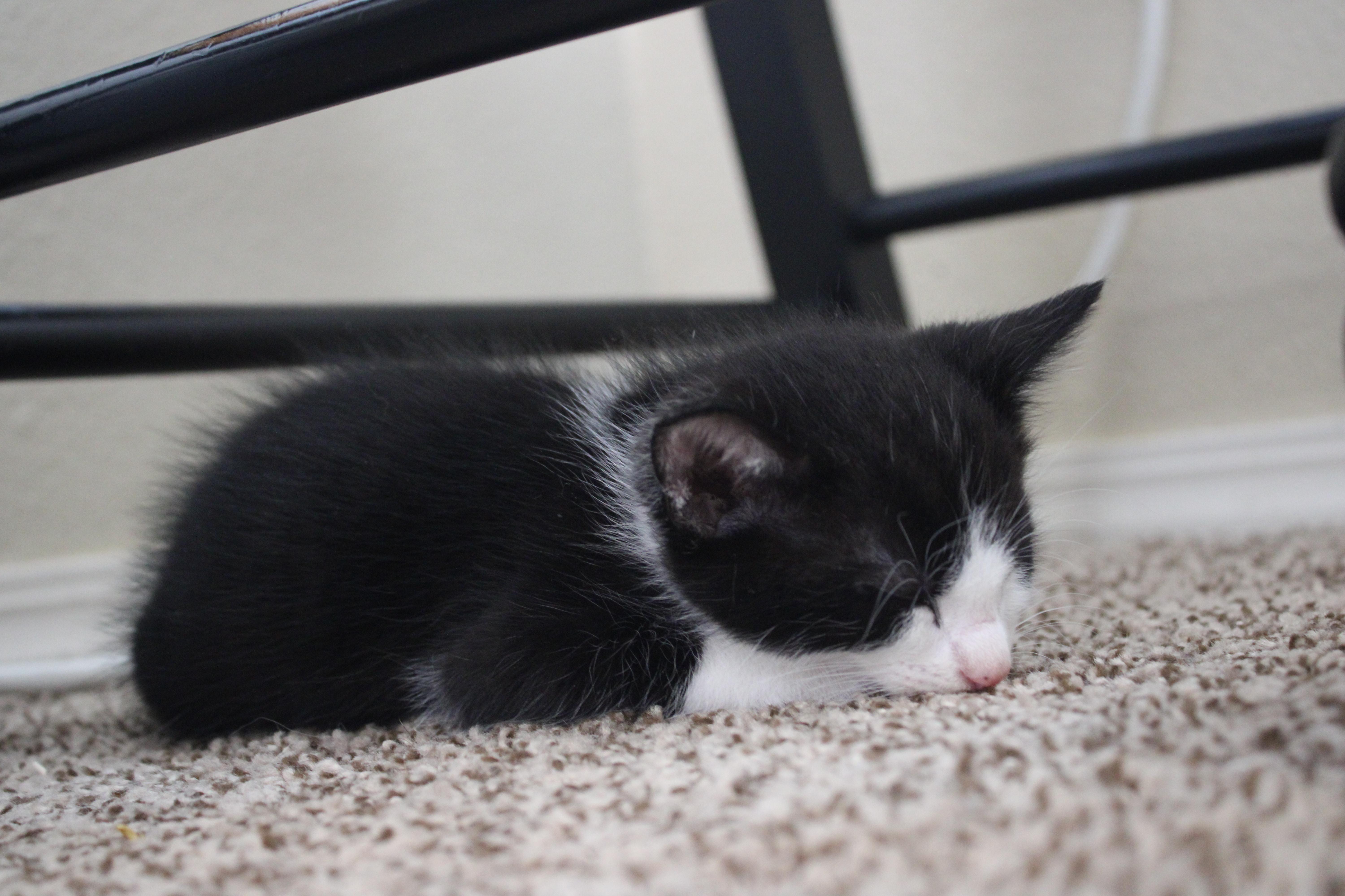 Howard Has A Lightning thumbnail 4