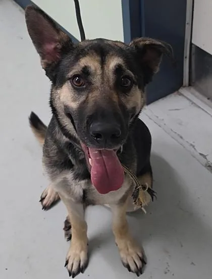 Luca