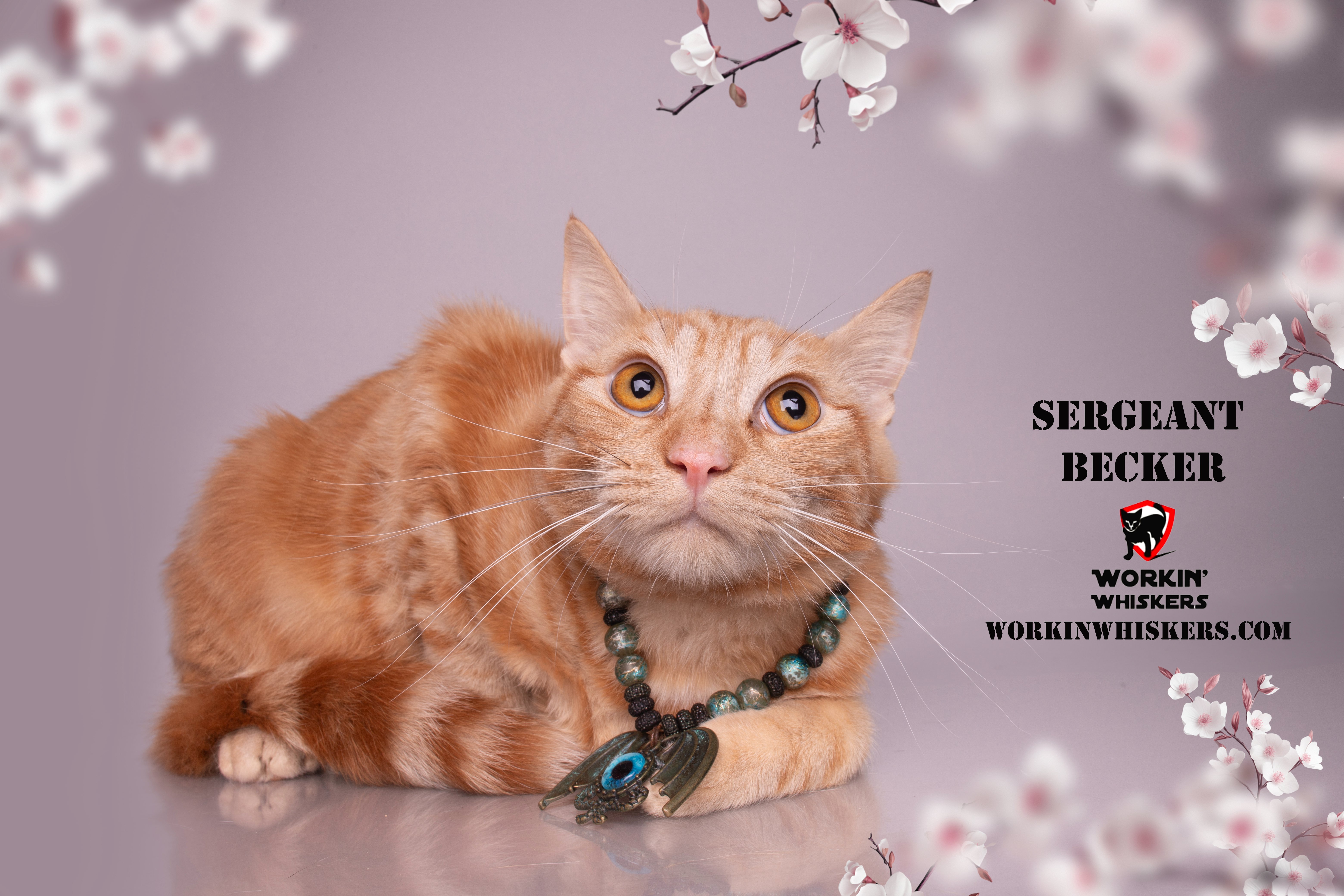 Sergeant Becker thumbnail 2