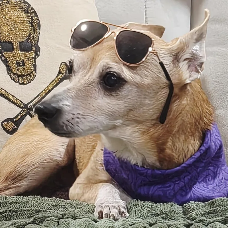 Waylon thumbnail 2