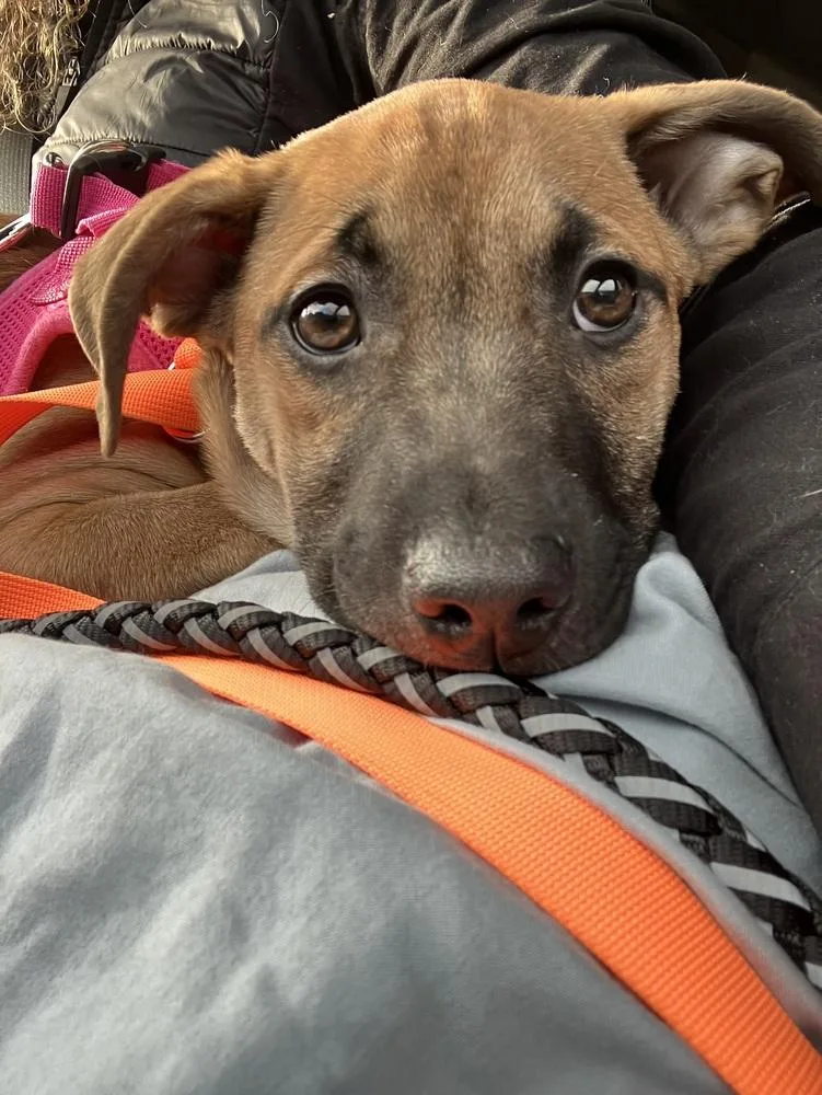 Missy Meadow thumbnail 2