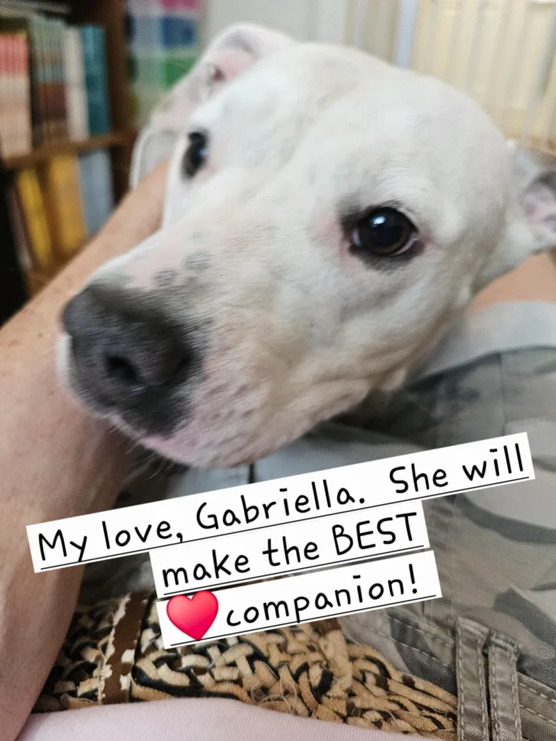 Gabriella thumbnail 2