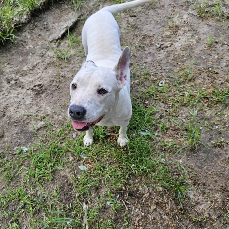 Gabriella thumbnail 3