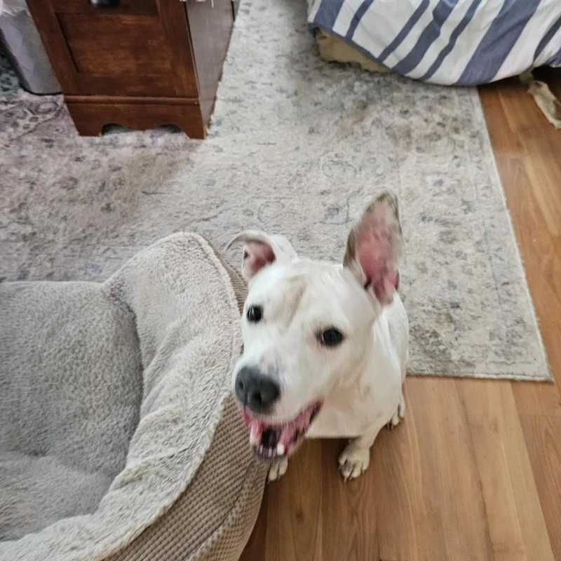 Gabriella thumbnail 4