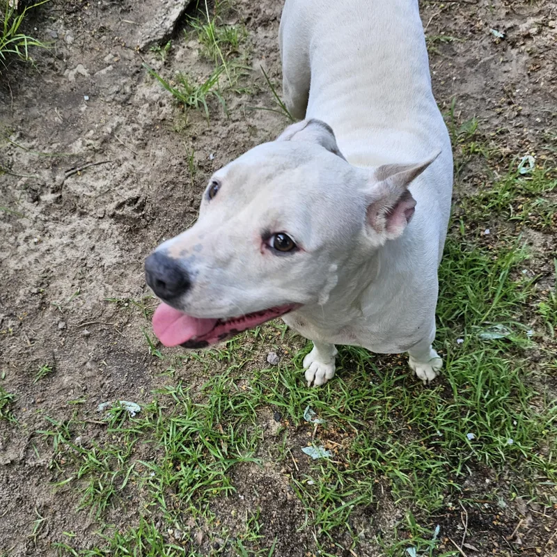 Gabriella thumbnail 5