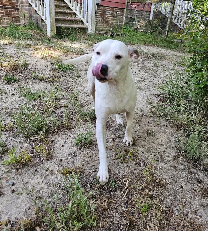 Gabriella thumbnail 6