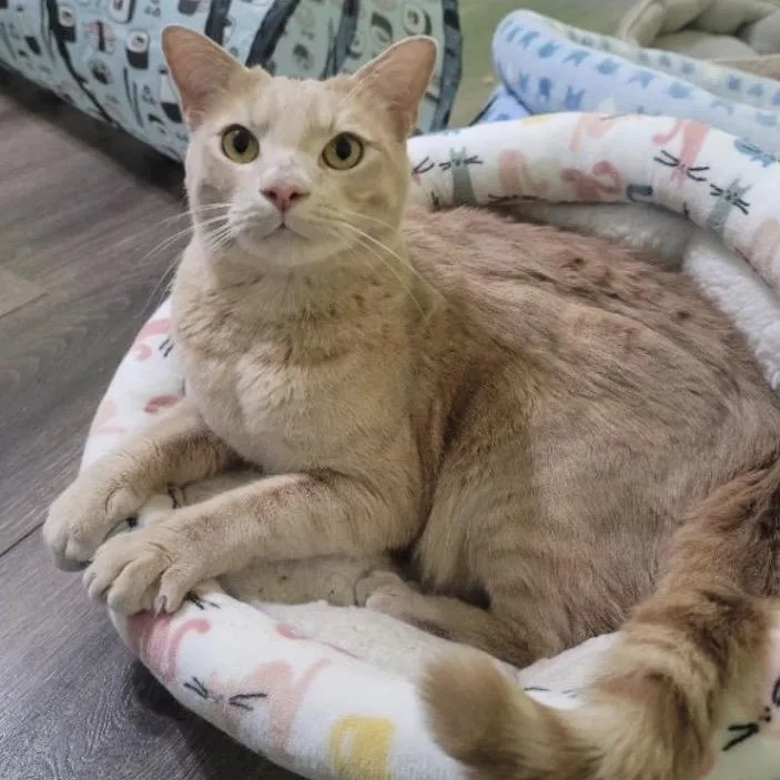 Clearwater thumbnail 2