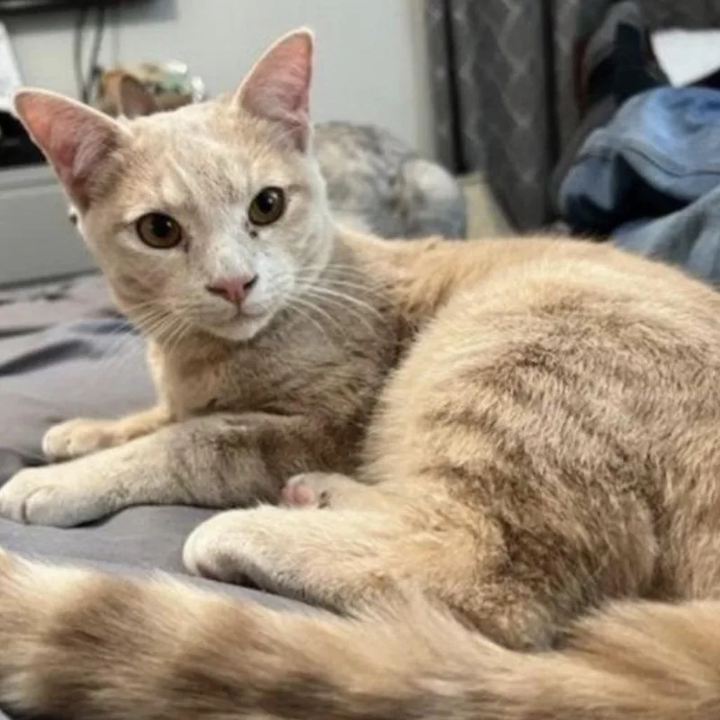 Clearwater thumbnail 3