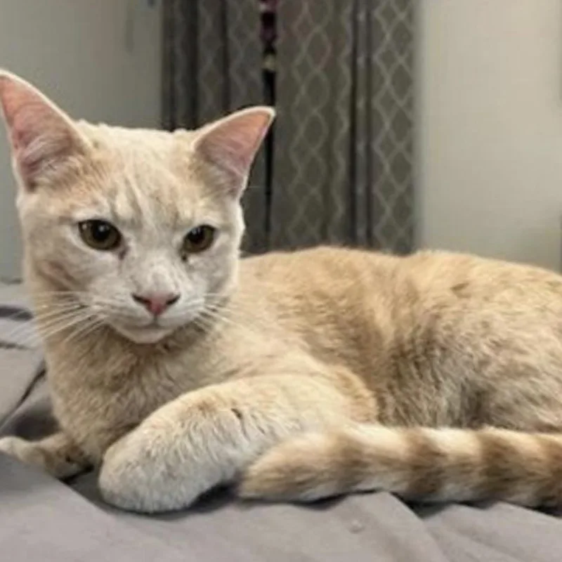 Clearwater thumbnail 4