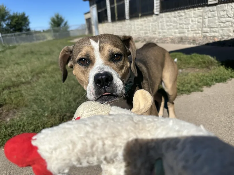 Lucy Gray thumbnail 2