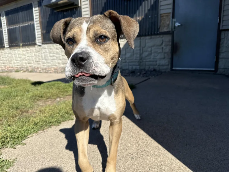 Lucy Gray thumbnail 3