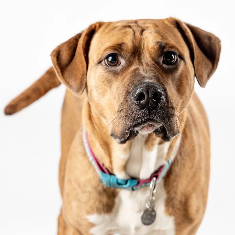 Sharonjk thumbnail 3