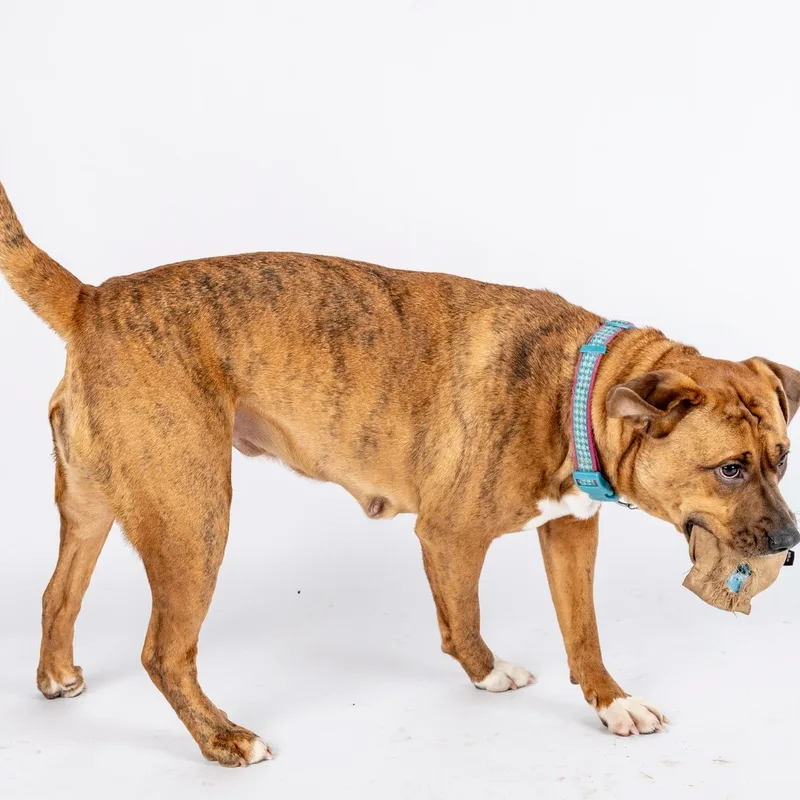 Sharonjk thumbnail 4