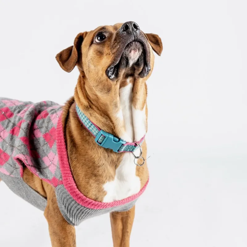 Sharonjk thumbnail 5