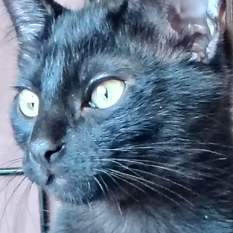 Rosita thumbnail 2