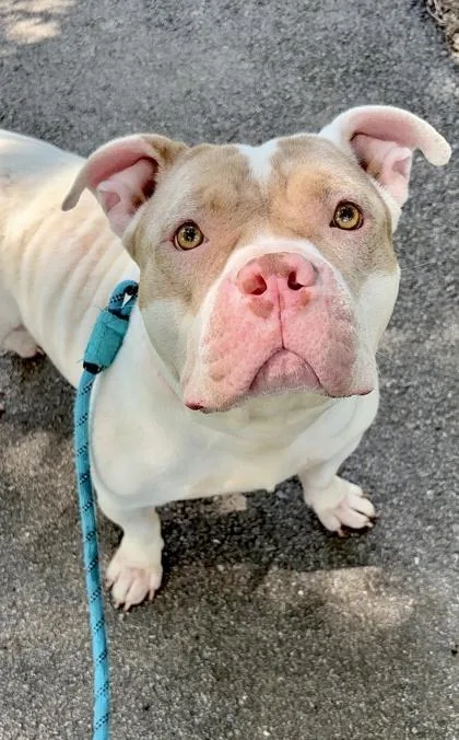 Miss Maam thumbnail 2