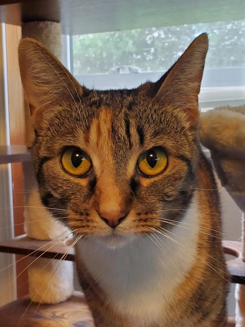 Zarina  Bonded with thumbnail 3