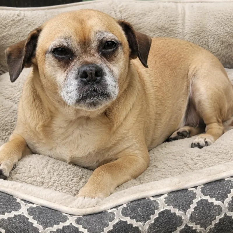 Abby thumbnail 3