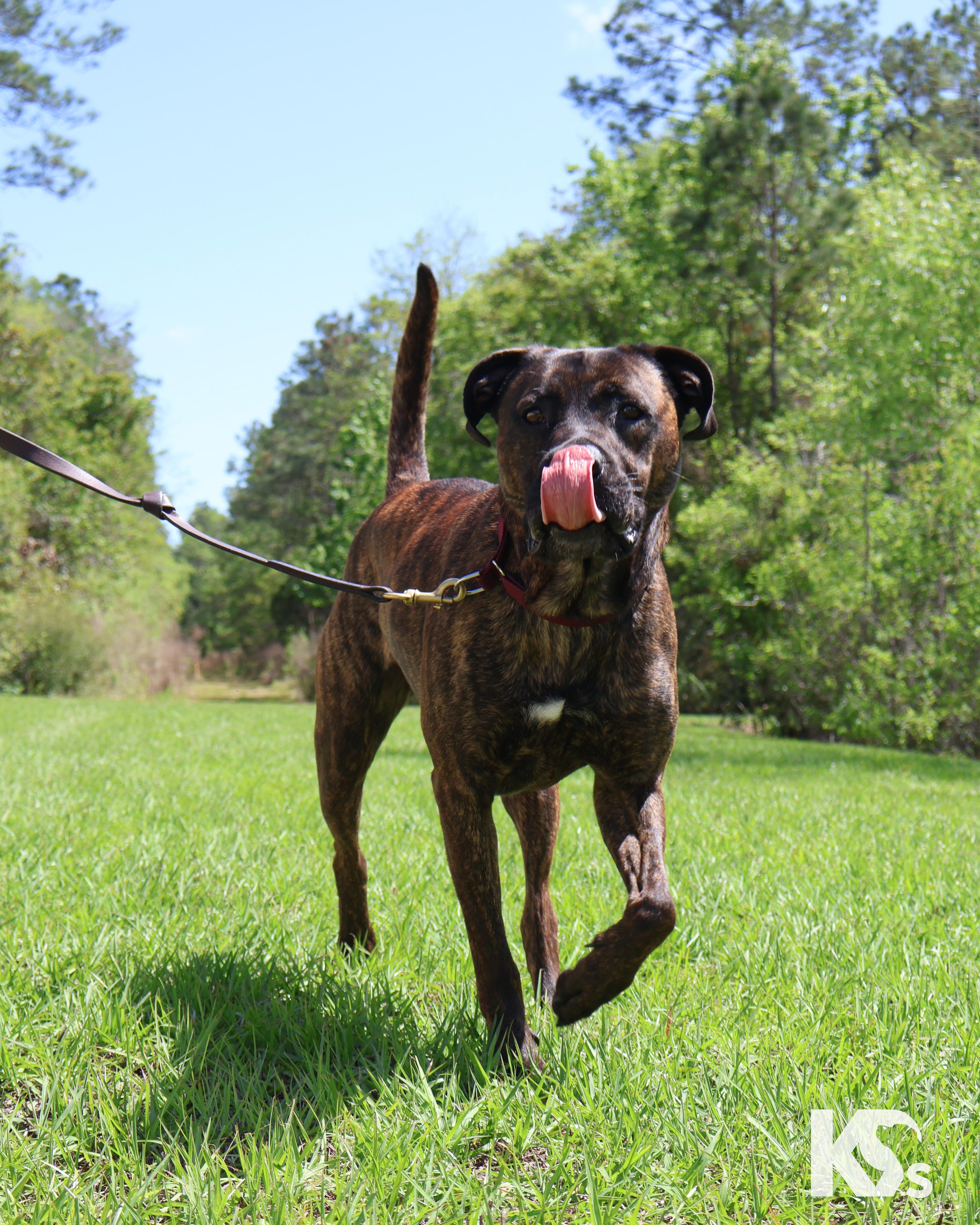 Roscoe