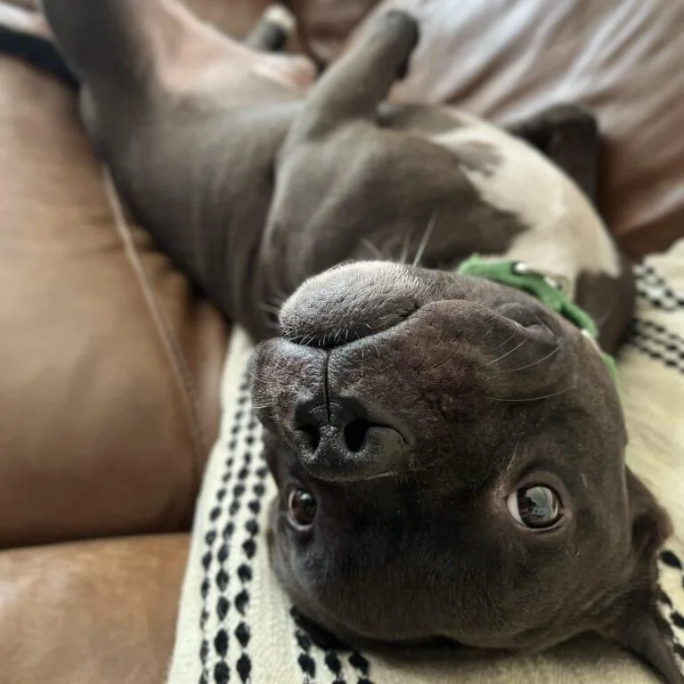 Elliot