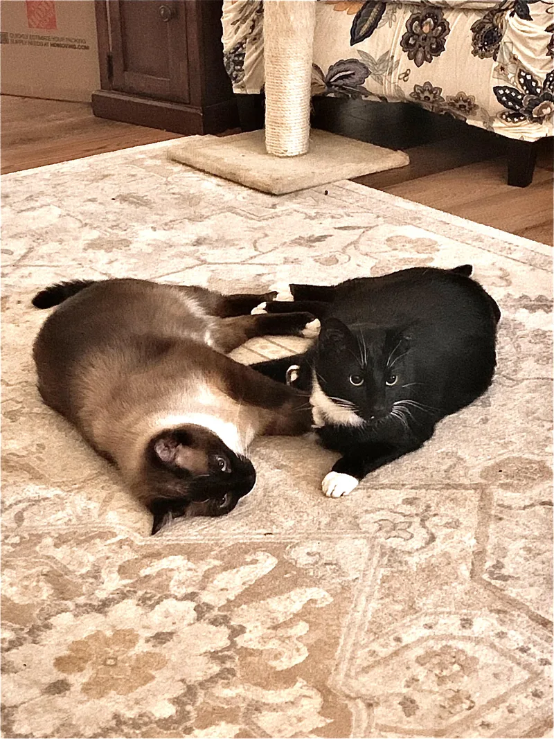 Frankie & Sammy