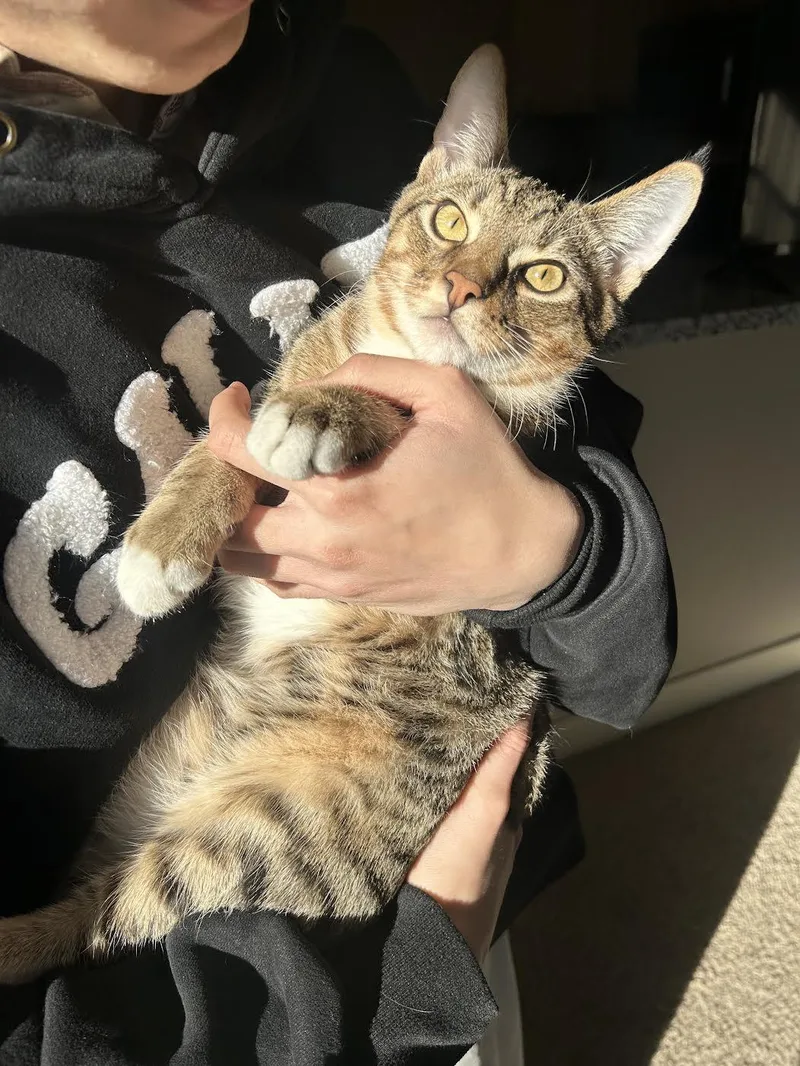 Leo
