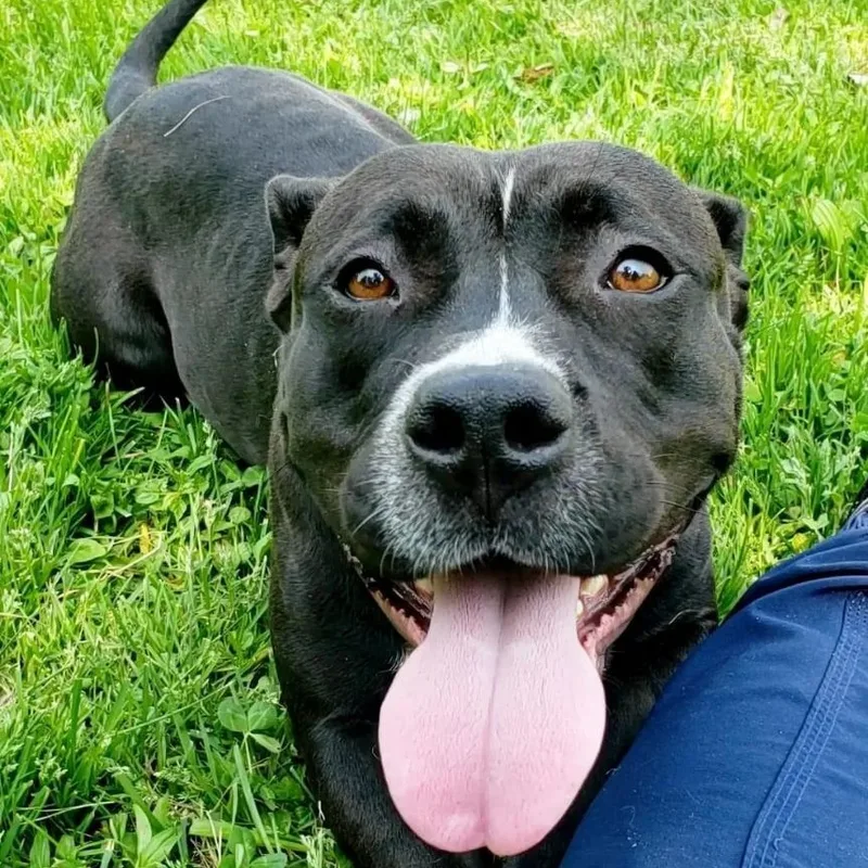 Morena "polly Pocket"