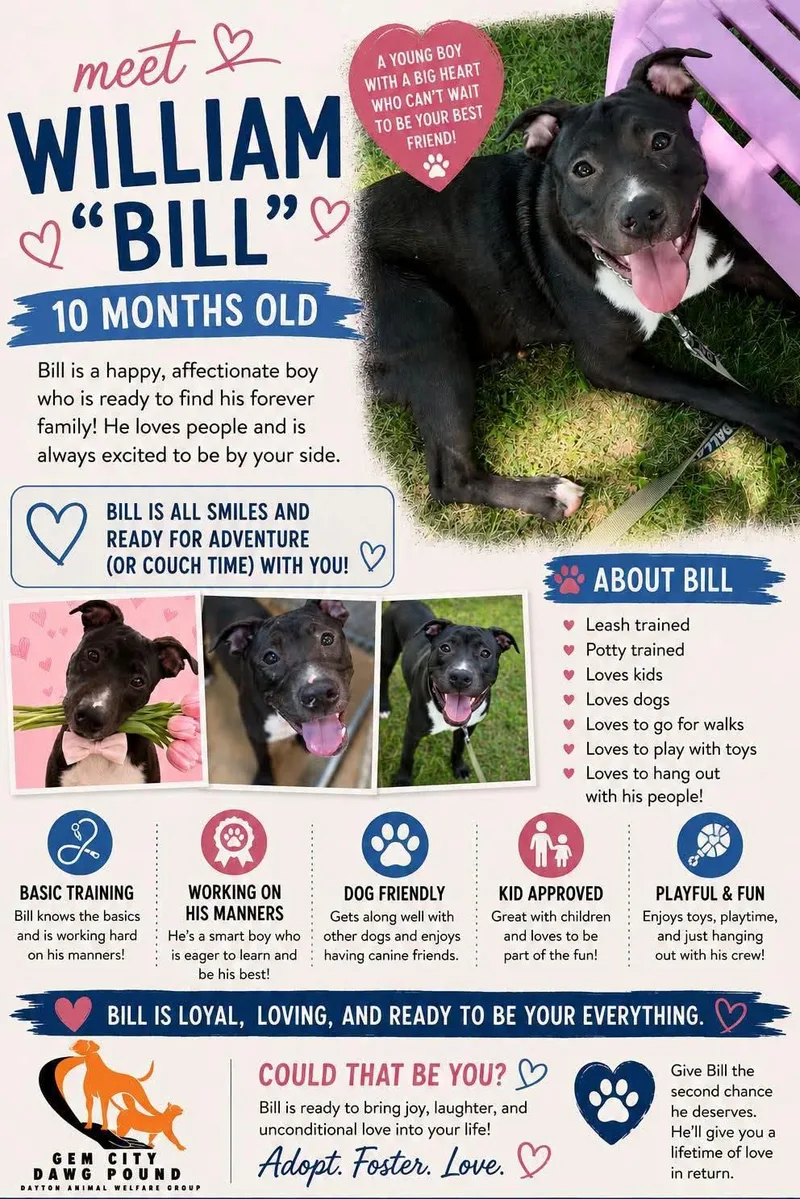 Bill thumbnail 4