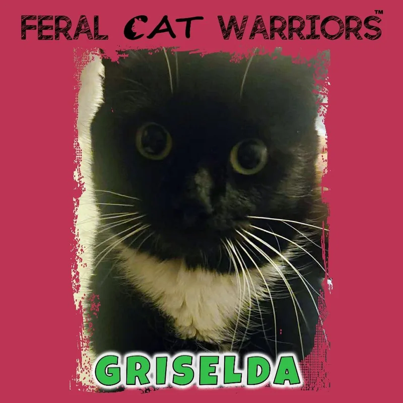 Griseldak