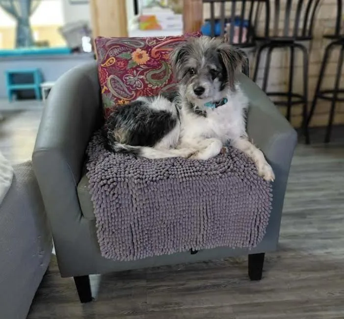 Molly In Tx thumbnail 2