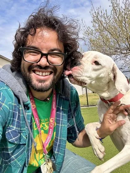 An adult large-sized female White / Cream Mixed Breed dog named Heather for adoption in Wichita, KS