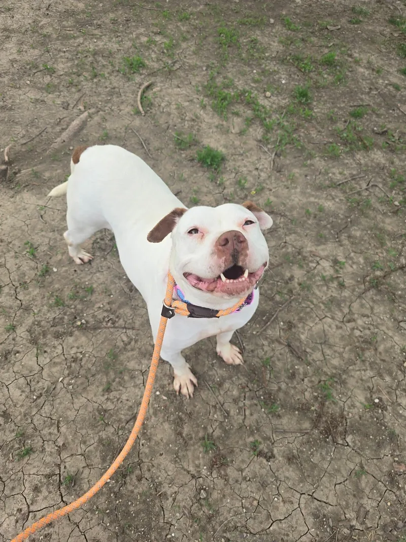 Suzie