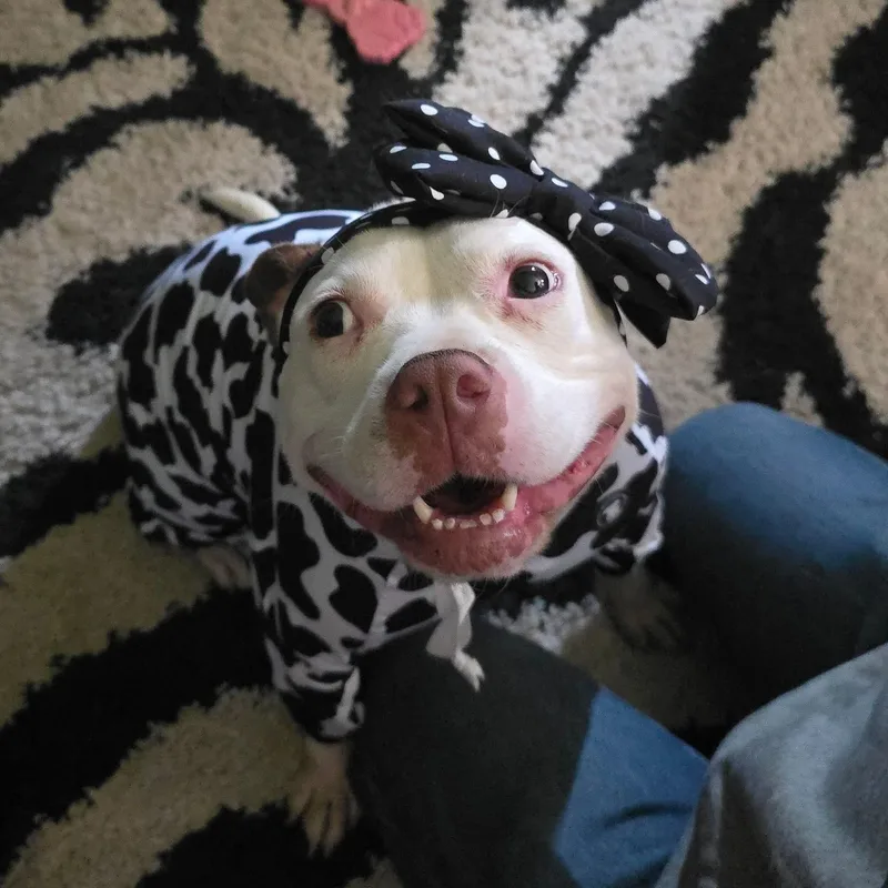 Suzie thumbnail 2