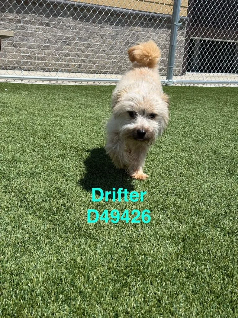 Drifter thumbnail 3