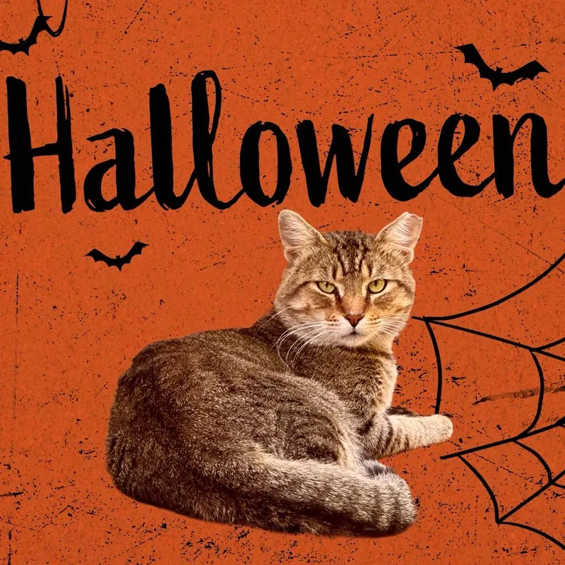 Theo The Hugger thumbnail 2