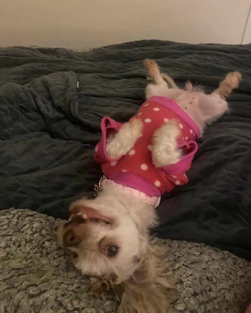 Betsy thumbnail 3