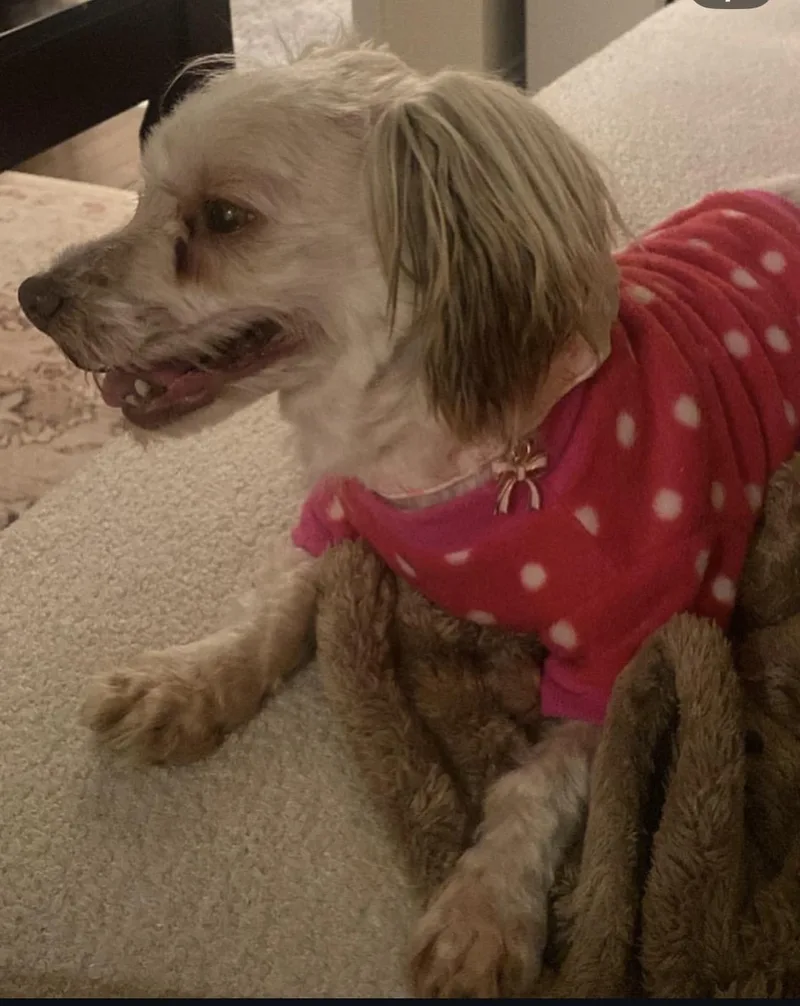 Betsy thumbnail 4