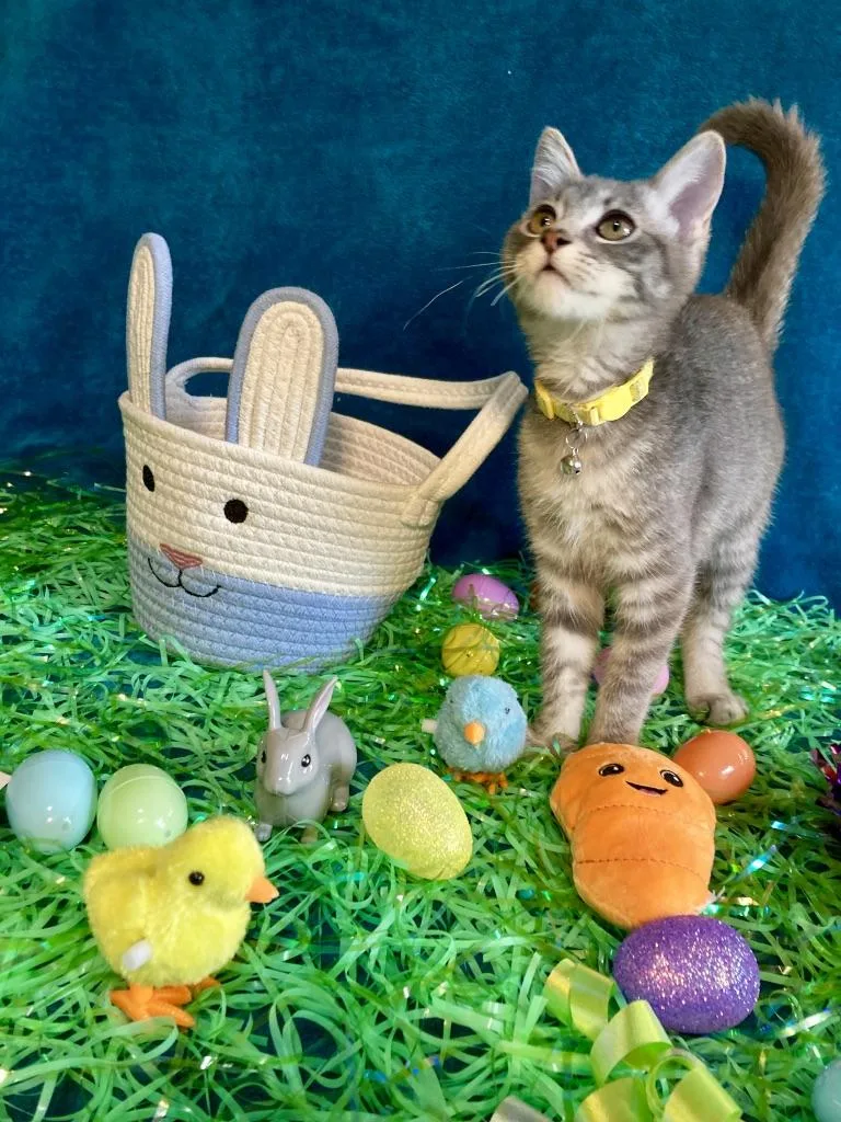 Mikey Day thumbnail 2