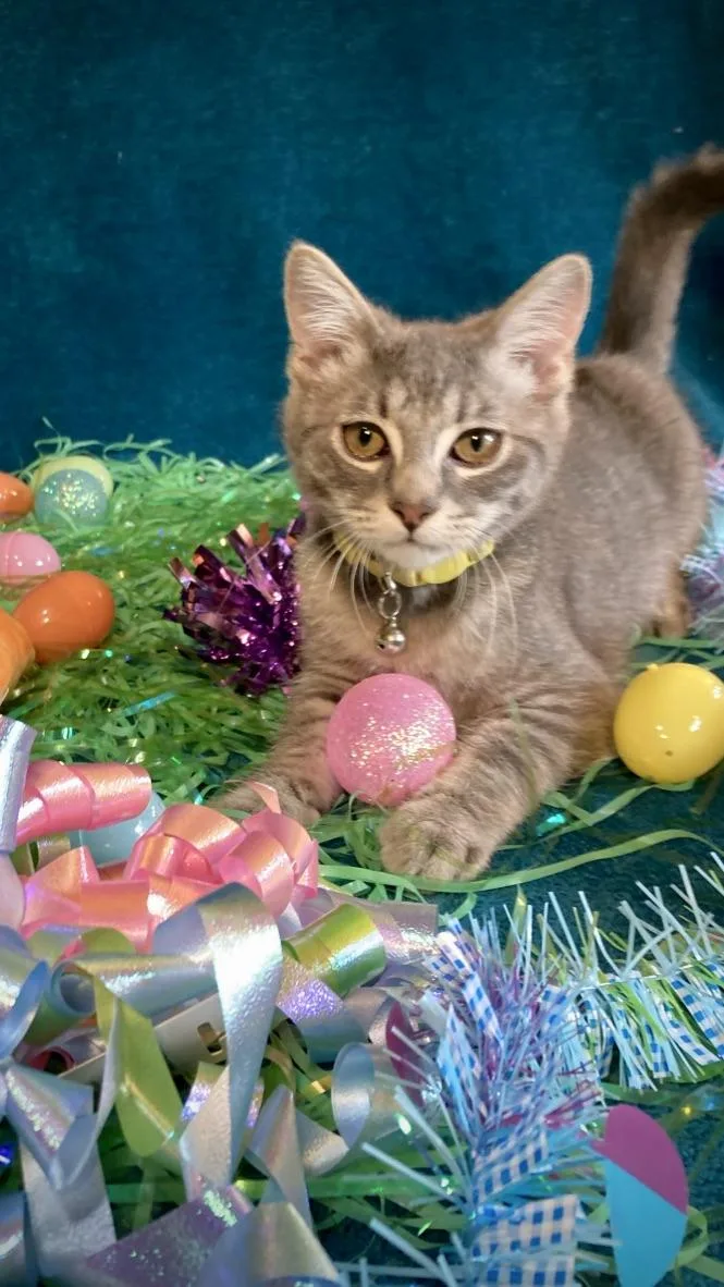 Mikey Day thumbnail 3