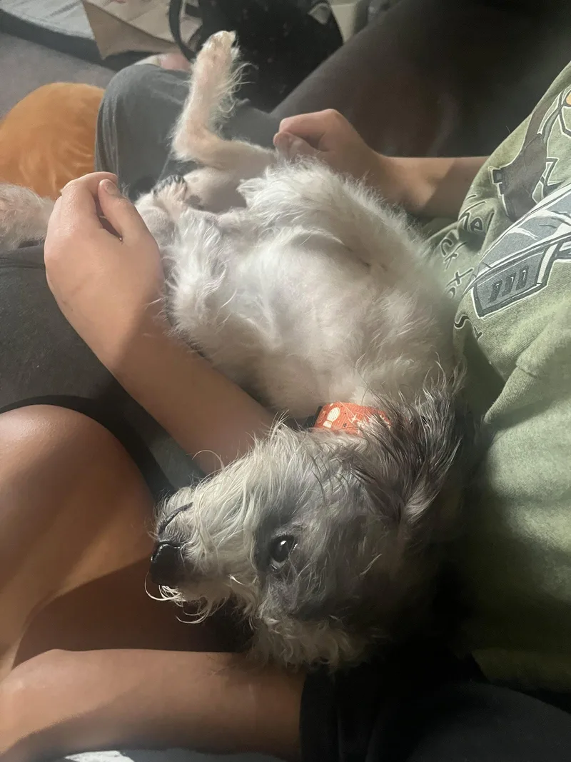 Stanley