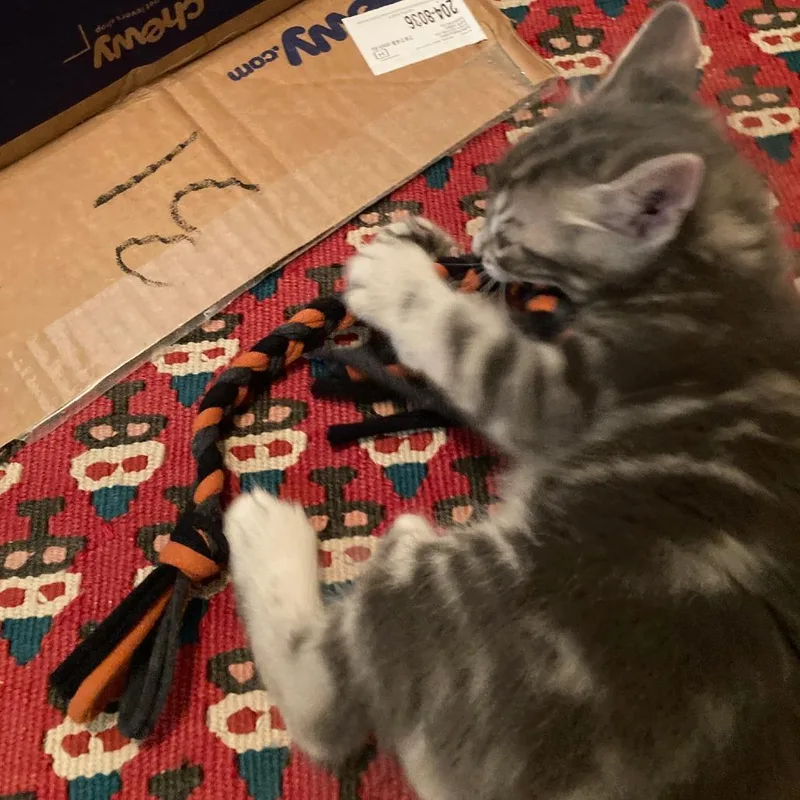 No Problem thumbnail 5