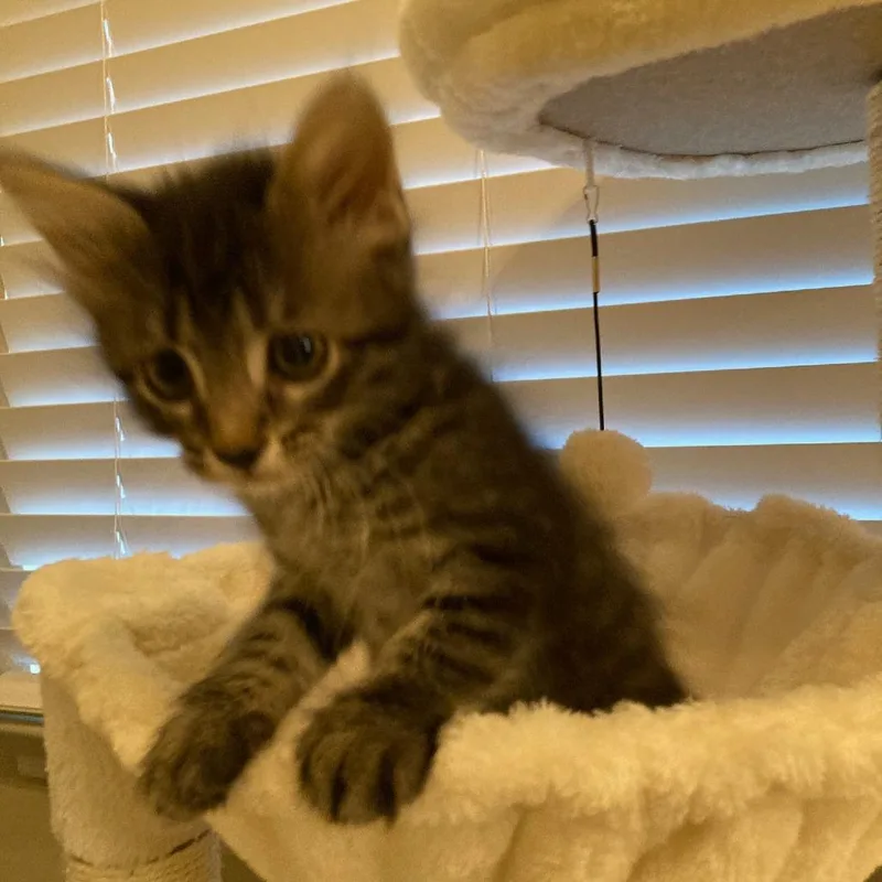 No Problem thumbnail 6