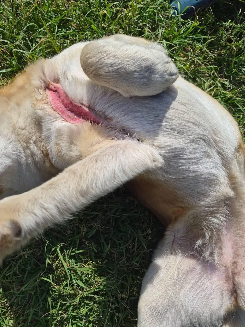 Iris Healing  Hoping… thumbnail 3