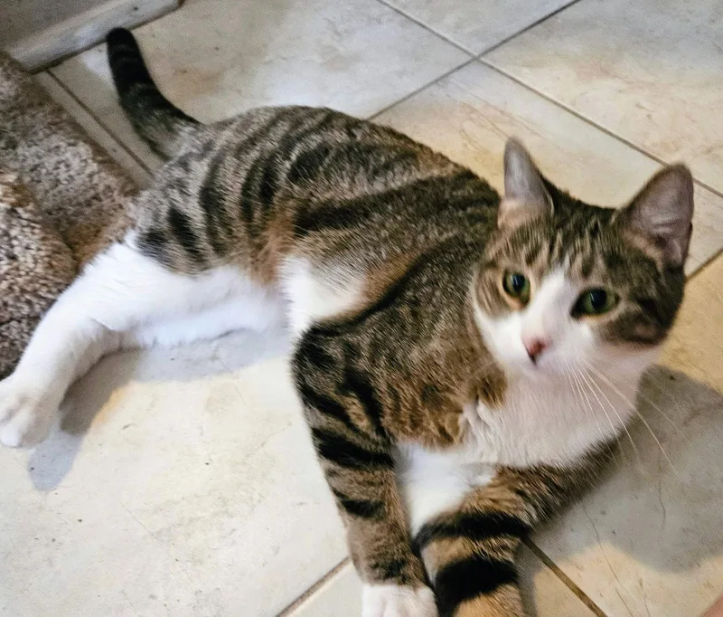 Maggie May thumbnail 2