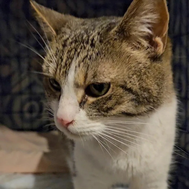 Maggie N.  Ready thumbnail 4