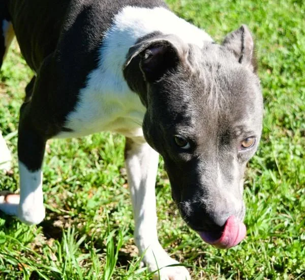 Cindy Lu Lu thumbnail 2