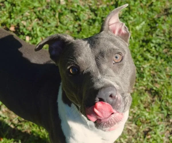 Cindy Lu Lu thumbnail 5