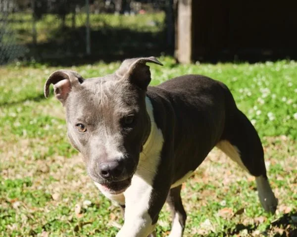 Cindy Lu Lu thumbnail 6